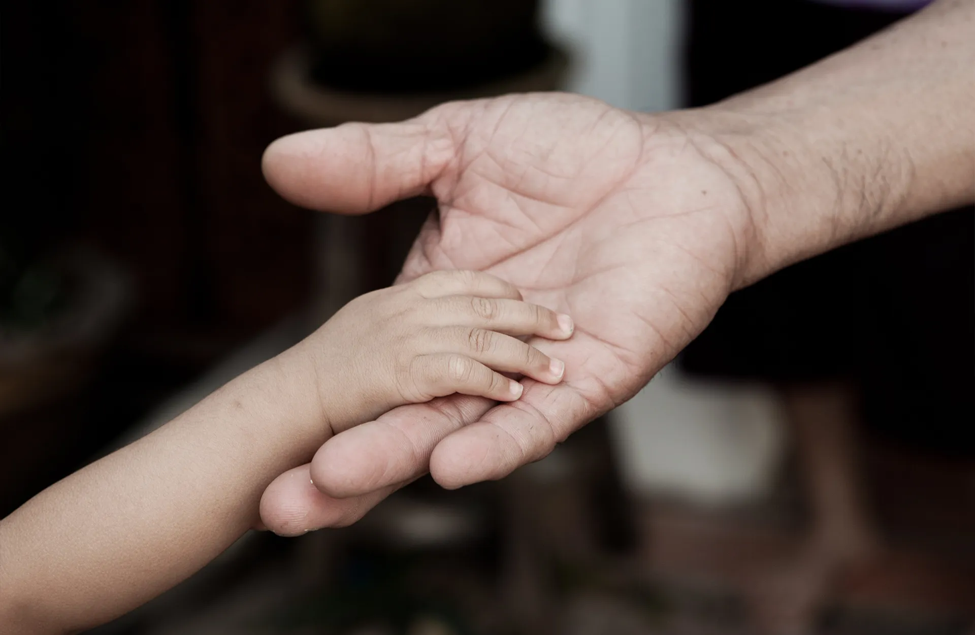 Droit des successions à Mâcon , avocat 